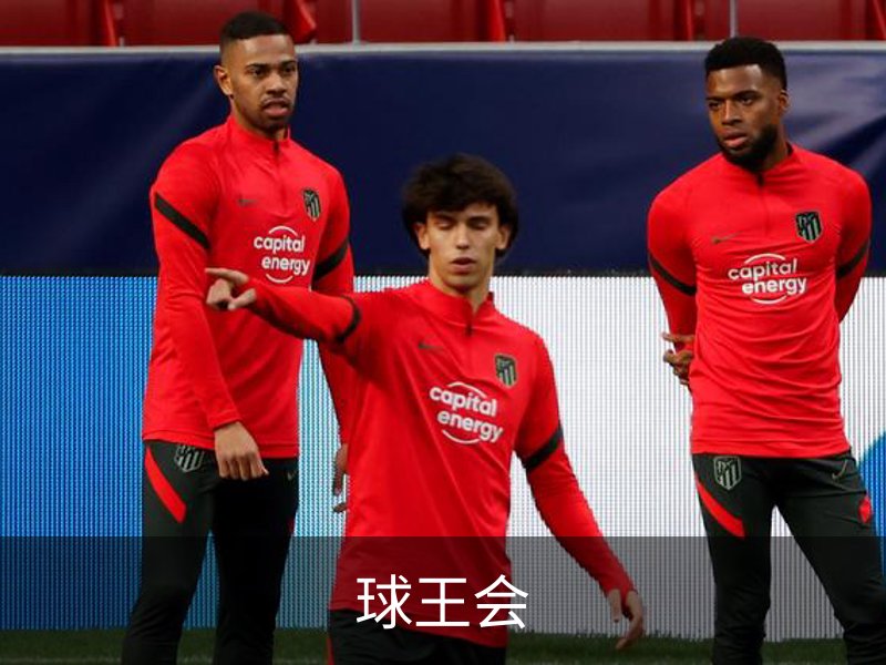关于球王会